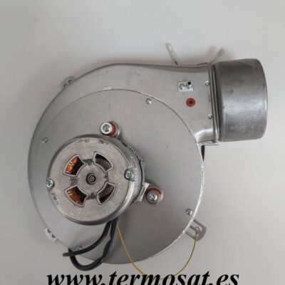 MOTOR EXTRACCION DE HUMOSBIOMASTER (LASIAN)